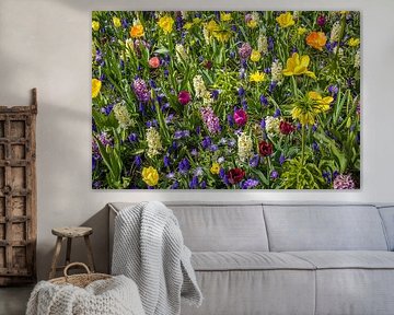 A profusion of colourful flowers in the field by Patricia Hofmeester