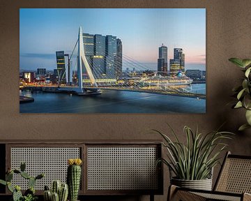 Pont Erasmus de Rotterdam de nuit sur Leon van der Velden