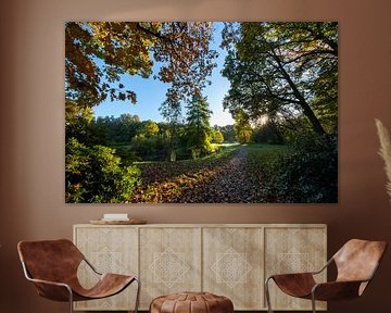 Herbst im Arboretum Poort Bulten! von Photo Joost