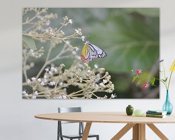 Vlinder op witte bloemetjes van Maurits Kuiper