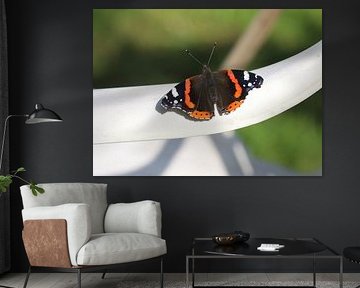 Admiraal van Matthias Brix