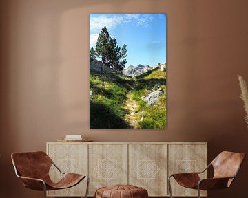 Pyrénées, Pyrénées sauvages, montagne, randonnée, nature, nature sauvage, outdoor, montagne, France, Espagne, paysage de montagne, photographie de paysage, photographie de nature, tableau mural de montagne, impression sur toile nature, Fine Art Print, tableau de nature, aventure, paradis de la nature, envie de voyager, randonnée en montagne, sommet, panorama de montagne, art de la nature, amour de la montagne, liberté, nostalgie de la distance, paysage de montagne, envie de randonnée, art photographique, photographie outdoor, région alpine
