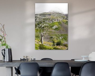 Pyrénées, Pyrénées sauvages, montagne, randonnée, nature, nature sauvage, outdoor, montagne, France, Espagne, paysage de montagne, photographie de paysage, photographie de nature, tableau mural de montagne, impression sur toile nature, Fine Art Print, tableau de nature, aventure, paradis de la nature, envie de voyager, randonnée en montagne, sommet, panorama de montagne, art de la nature, amour de la montagne, liberté, nostalgie de la distance, paysage de montagne, envie de randonnée, art photographique, photographie outdoor, région alpine
