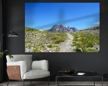 HRP & ; GR11 : Pyrénées sauvages, aventure et montagne à l'état pur. Acheter maintenant des photographies impressionnantes de la nature sur toile ou tableau mural - la liberté sur les traces des sentiers alpins.