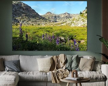 HRP & ; GR11 : Pyrénées sauvages, aventure et montagne à l'état pur. Acheter maintenant des photographies impressionnantes de la nature sur toile ou tableau mural - la liberté sur les traces des sentiers alpins.
