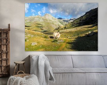 HRP & ; GR11 : Pyrénées sauvages, aventure et montagne à l'état pur. Acheter maintenant des photographies impressionnantes de la nature sur toile ou tableau mural - la liberté sur les traces des sentiers alpins.