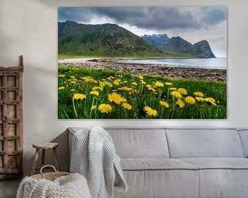 Dandelion on Unstad Beach in the Lofoten Islands, Norway by Sauerland-Fotos by Robin Deimel