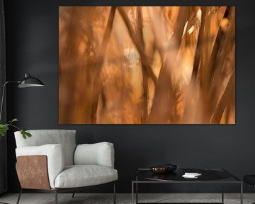 Dawn (orange sunrise between leaves and branches) by Birgitte Bergman