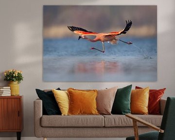 Chilenischer Flamingo von Aldert Verboom