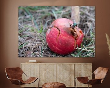 Vergankelijkheid (1) van Adri FRIJTERS