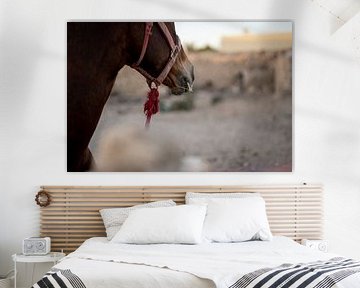 Horse close-up by Valerie Visschedijk - Reisfotografie
