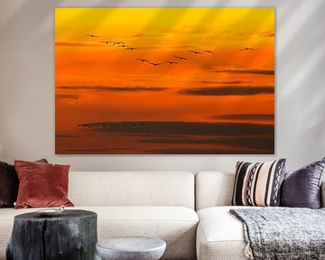 Grues en vol dans un coucher de soleil lors de la migration d'automne sur Sjoerd van der Wal Photographie