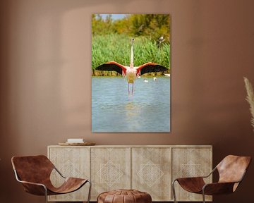 Flamant dans la Camarque dans le sud de la France sur Sjoerd van der Wal Photographie