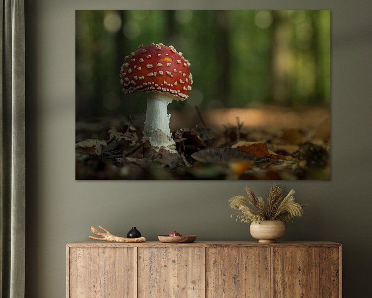 Aperçu de la chambre