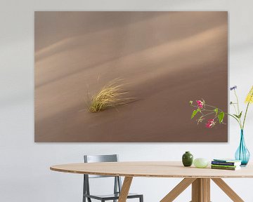 La résilience dans la tempête