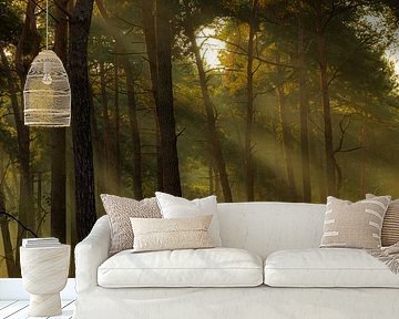 Strabrechtse Heide 259 by Deshamer