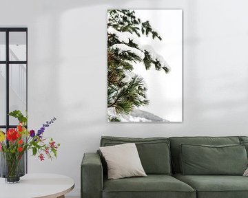 Wintergreen in Ischgl, Austria by Xulé Bogers