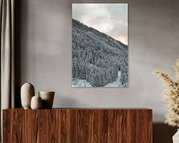Arbres d'hiver dans les Alpes