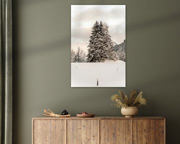 Golden hour winter landscape by Xulé Bogers