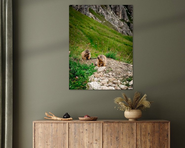 Voorbeeld van het werk in een kamer