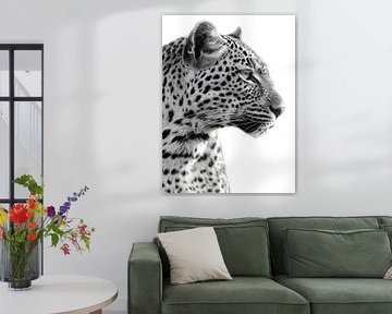 Schwarzer & Weißer Tiger von Olga Wildrose