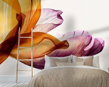 Gradient Tulips by Christine de Vogel