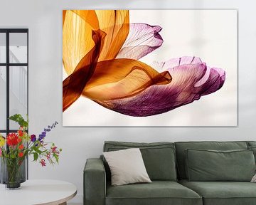 Gradient Tulips by Christine de Vogel