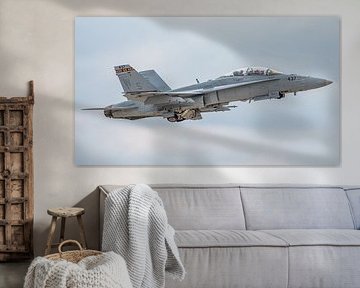 U.S. Marine Corps McDonnell Douglas F/A-18D Legacy Hornet. by Jaap van den Berg