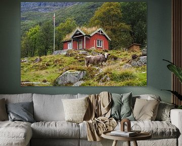 Norway's spectacular nature - mountains, fjords and lakes in impressive photography.