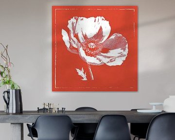 Gravur einer Mohnblume in Rot und Weiß