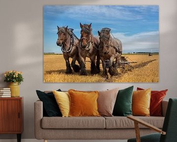 Three-man team ploughing a stubble field by Bram van Broekhoven