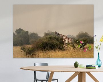 Timeless and proud - The giants of the Ugandan plains by Rick Massar