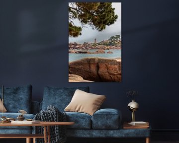 Côte de Granit Rose (rochers roses) sur Rob van der Teen