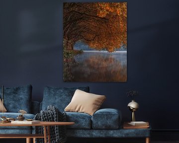 Herbstliche Allee am Baldeneysee im Morgennebel von Oliver Preuß