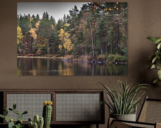 Aperçu de la chambre