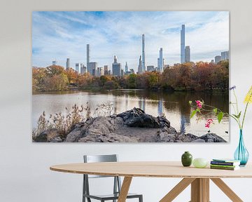 L'horizon de New York depuis Central Park sur Tim Vlielander