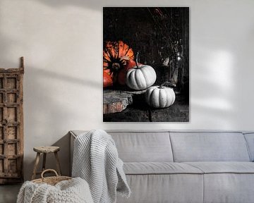 Pompoenen van Susan Brooks-Dammann