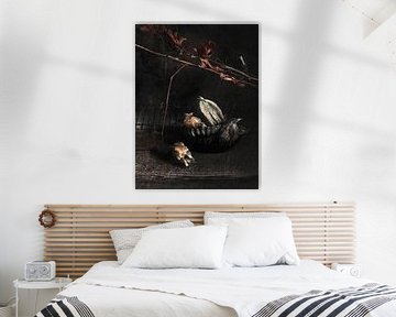 Physalis sur Susan Brooks-Dammann