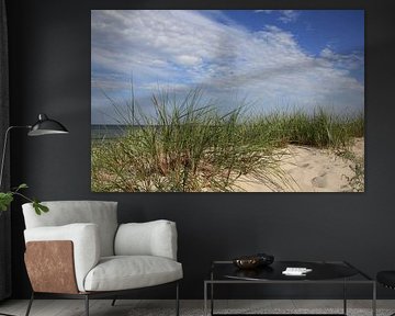 Paysage de dunes sur Ostsee Bilder