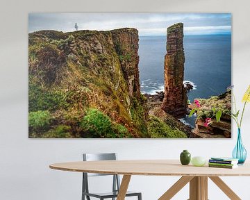 old man of hoy with shadow