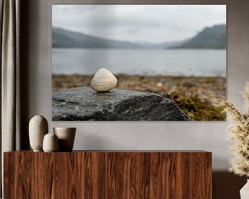 Coquillage en bord de mer sur Nadia Feys