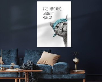 Coole Katze - Der Beobachter