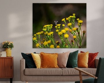 Yellow flowers in the forest