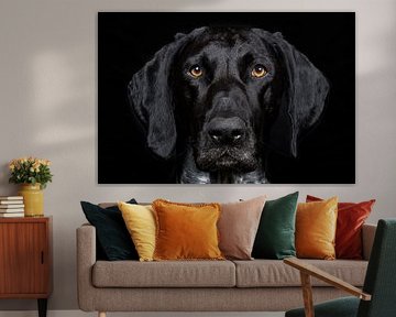 Een blik in de ogen van een zwarte hond van Rüdiger Rohmann