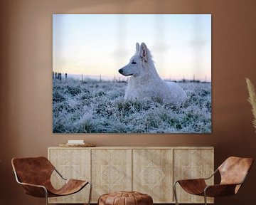 Hond in winterlandschap van Simon De Clippel