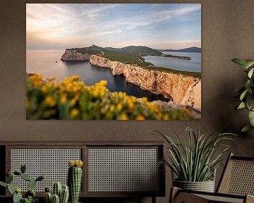 Sonnenuntergang an den Klippen Sardiniens am Parco Naturale Di Porto Conte