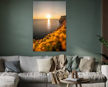 Sonnenuntergang an den Klippen Sardiniens am Parco Naturale Di Porto Conte