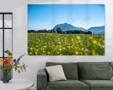 Frühling an der Wittelsbacher Höhe zwischen Fischen und Ofterschwang im Allgäu mit grandiosem Blick auf die verschneiten Allgäuer Alpen von Leo Schindzielorz