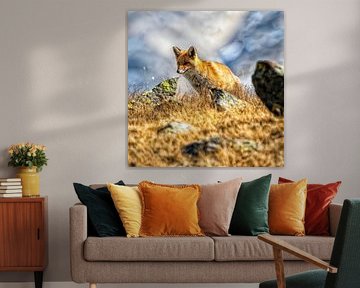 Fuchs von Patrick Haleyt Photography