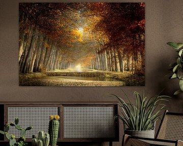 Automne dans le sud des Pays-Bas